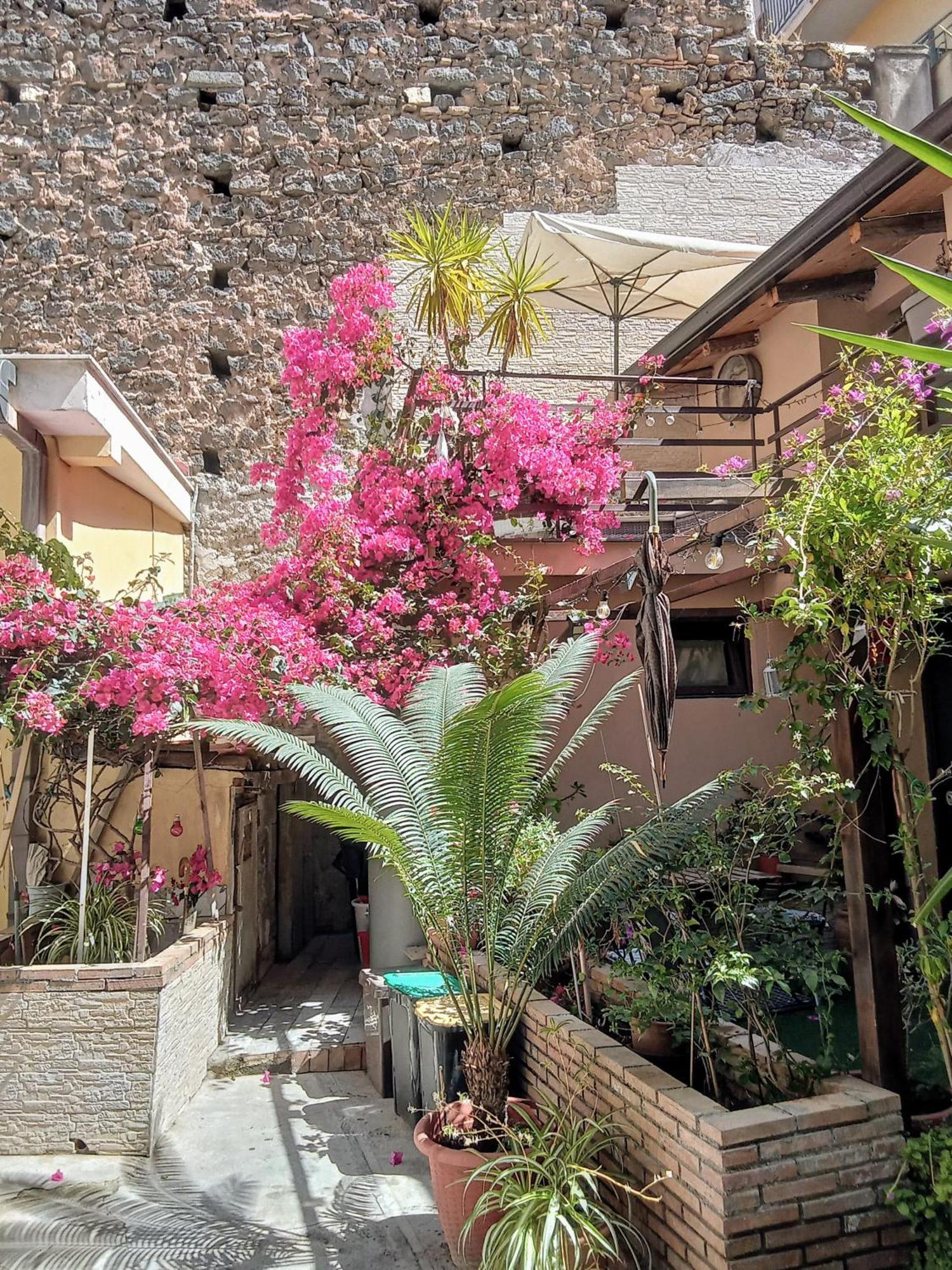 Mizzicahome Solemare Katanya Dış mekan fotoğraf