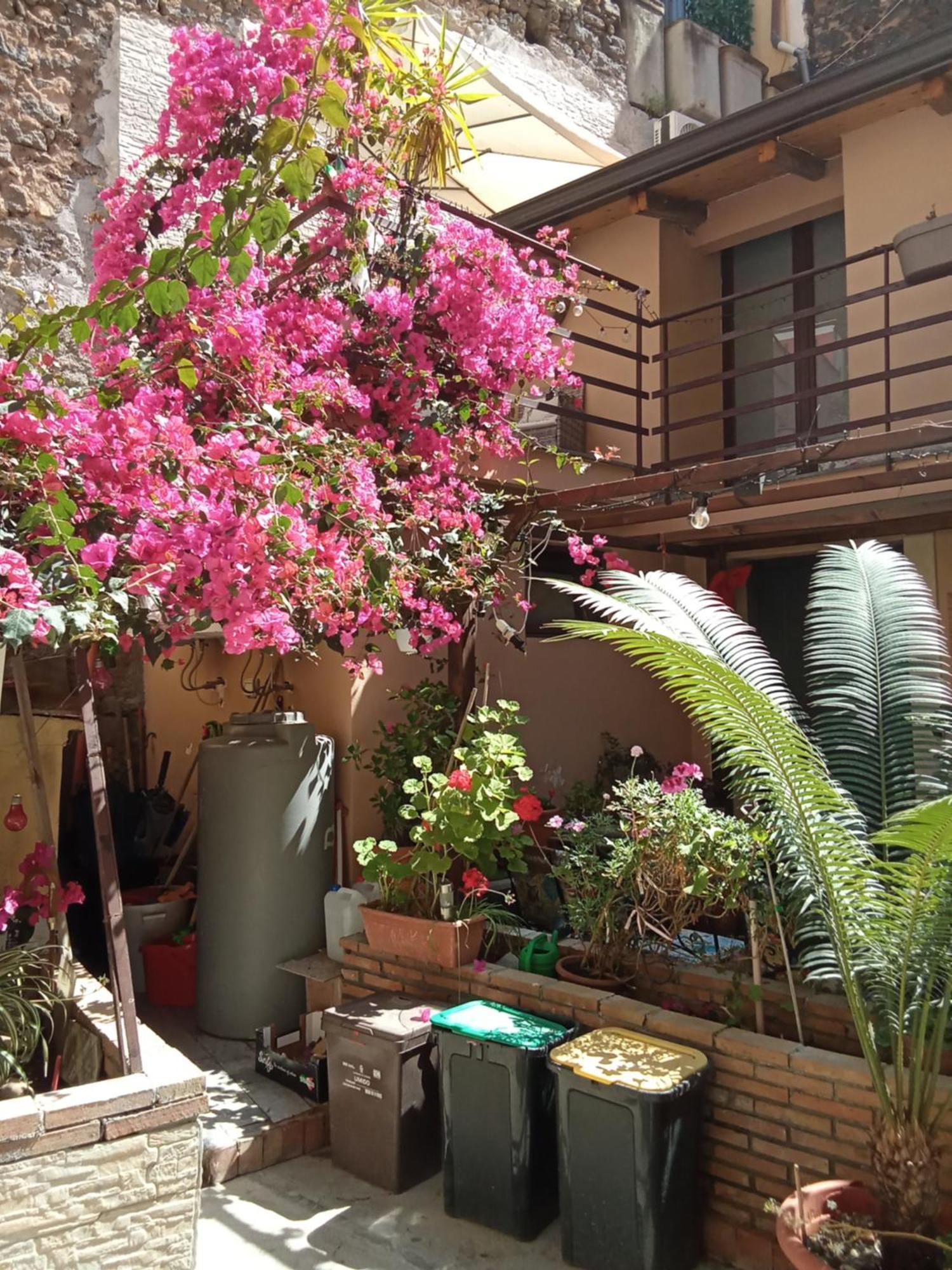 Mizzicahome Solemare Katanya Dış mekan fotoğraf