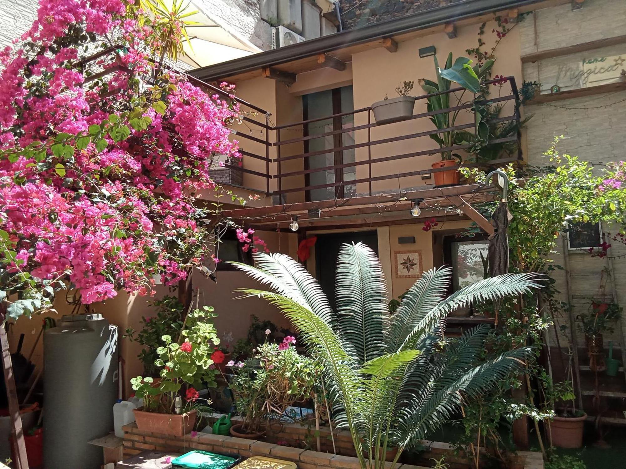 Mizzicahome Solemare Katanya Dış mekan fotoğraf